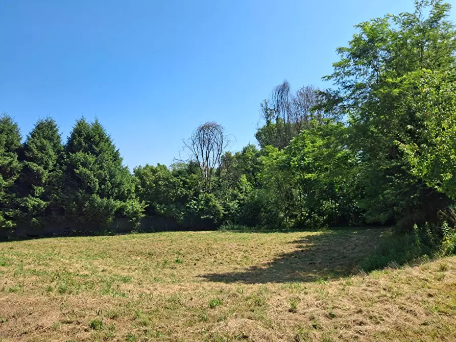 Immagine 14 di Terreno residenziale in vendita  in VIA OLIVE a Laveno-Mombello