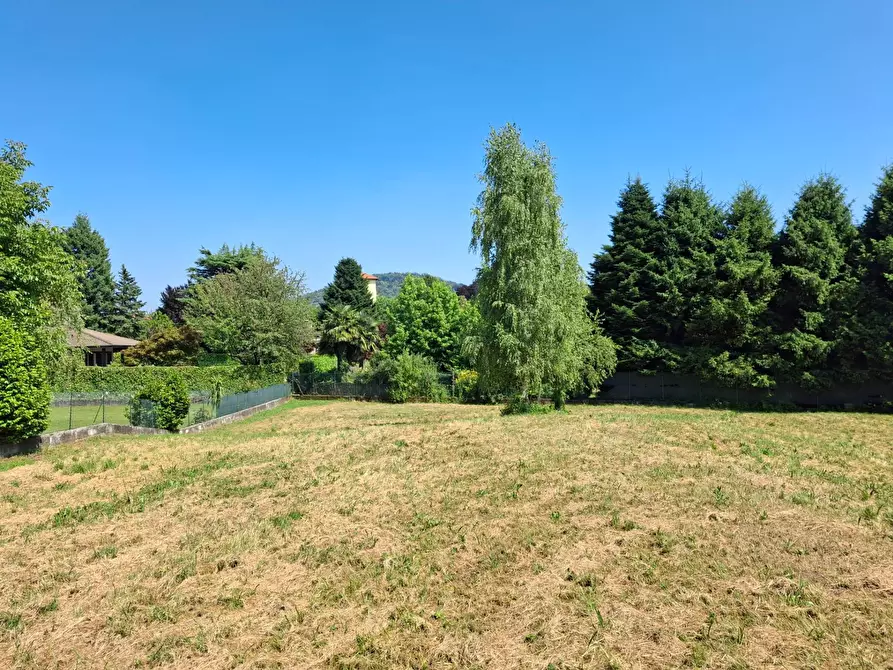 Immagine 2 di Terreno residenziale in vendita  in VIA OLIVE a Laveno-Mombello