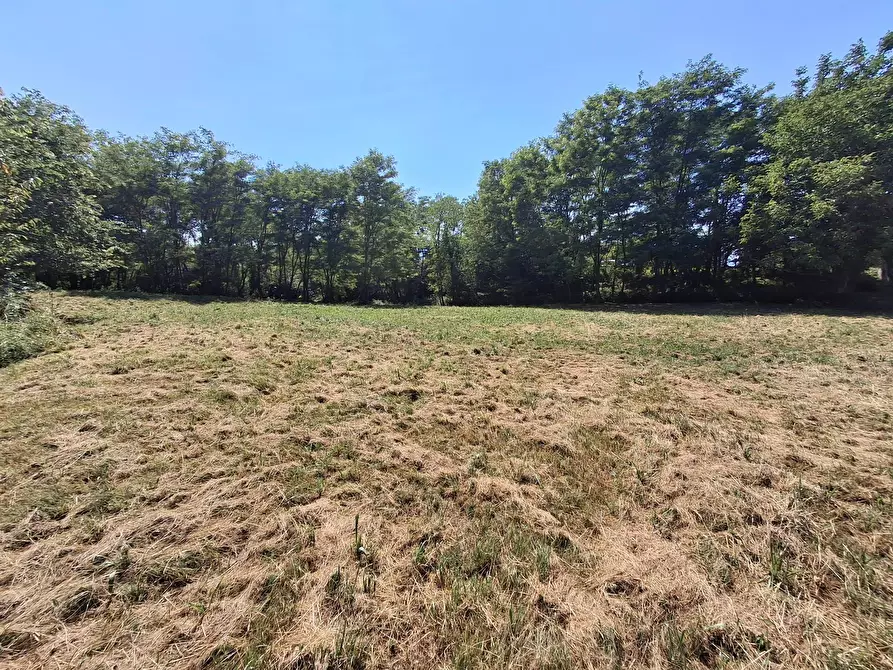 Immagine 15 di Terreno residenziale in vendita  in VIA OLIVE a Laveno-Mombello