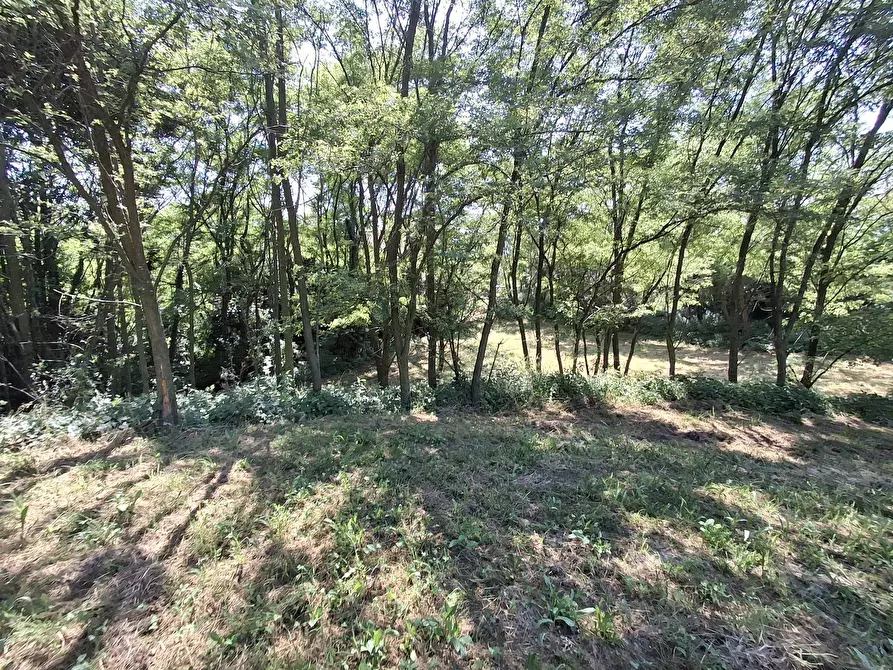 Immagine 19 di Terreno residenziale in vendita  in VIA OLIVE a Laveno-Mombello