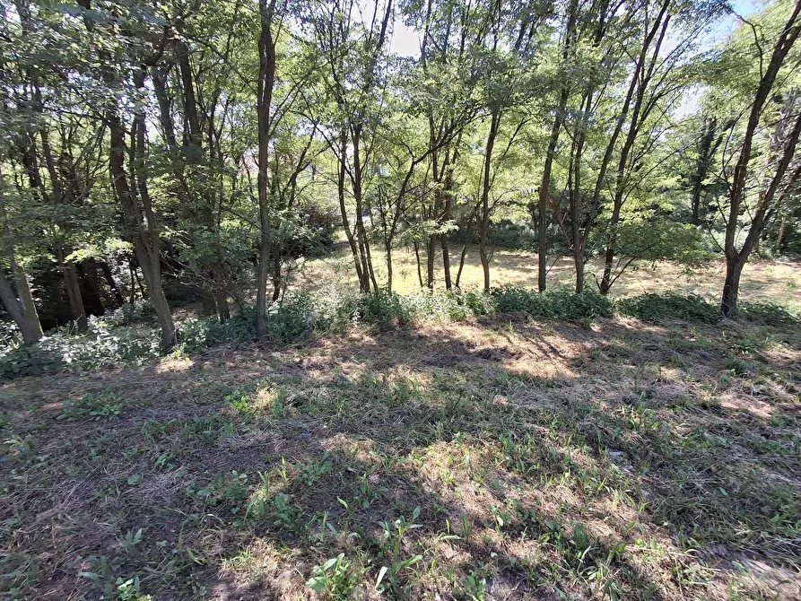 Immagine 21 di Terreno residenziale in vendita  in VIA OLIVE a Laveno-Mombello