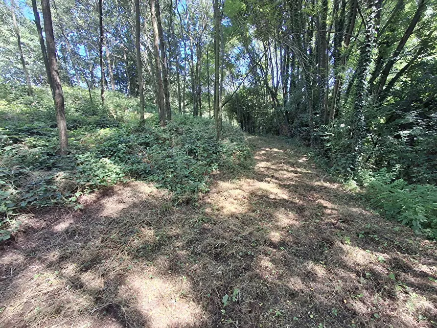 Immagine 22 di Terreno residenziale in vendita  in VIA OLIVE a Laveno-Mombello