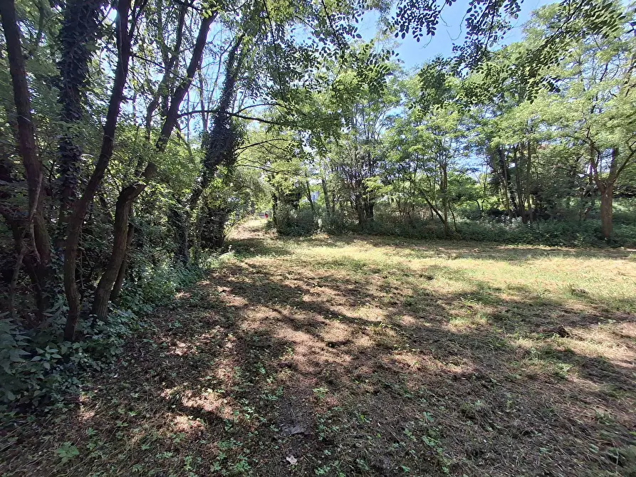 Immagine 23 di Terreno residenziale in vendita  in VIA OLIVE a Laveno-Mombello