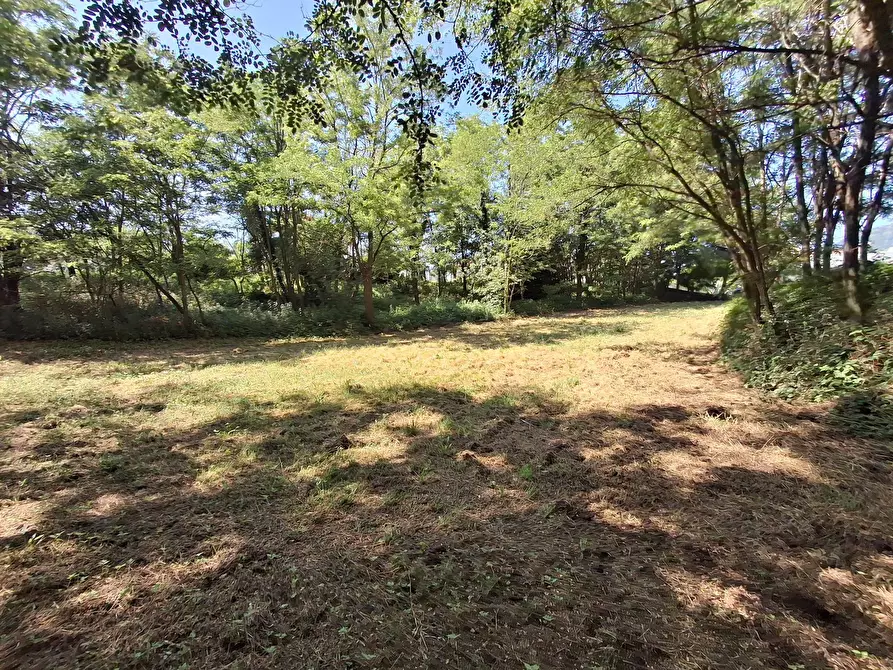 Immagine 24 di Terreno residenziale in vendita  in VIA OLIVE a Laveno-Mombello