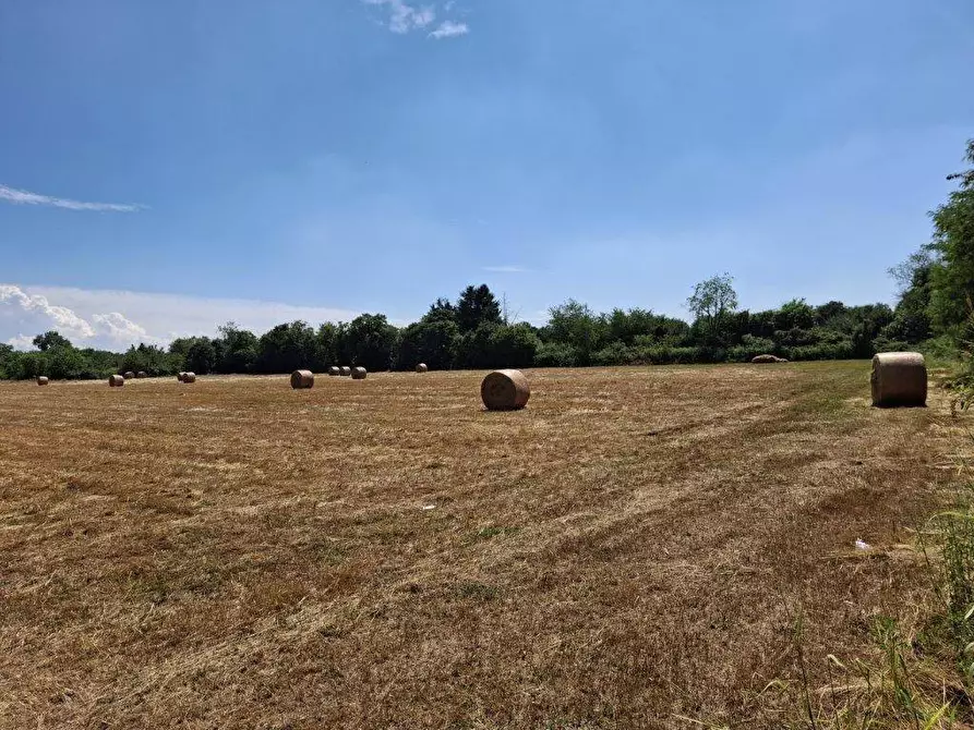 Immagine 4 di Terreno agricolo in vendita  in vicinale mazzafame a Legnano