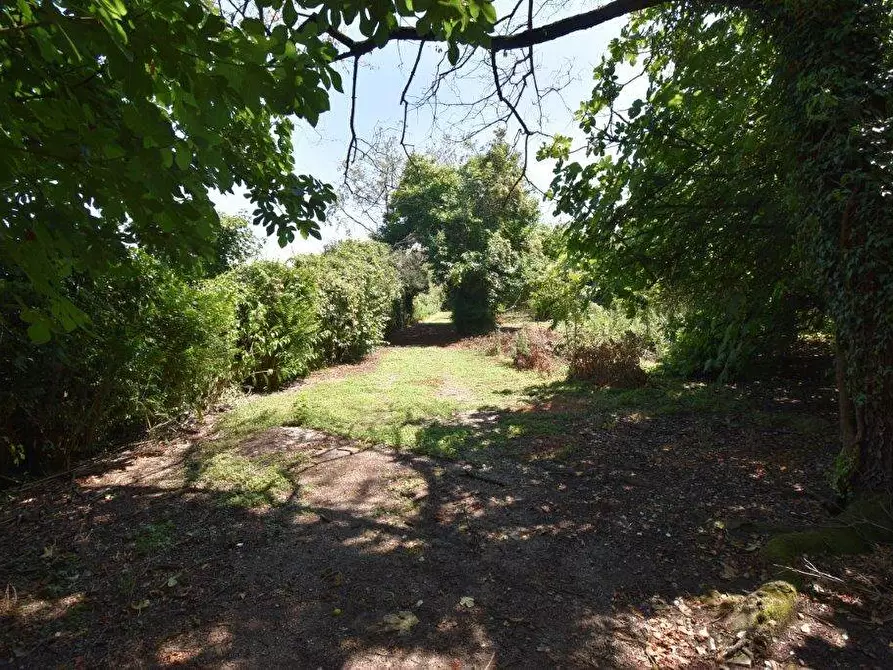 Immagine 6 di Terreno agricolo in vendita  in vicinale mazzafame a Legnano