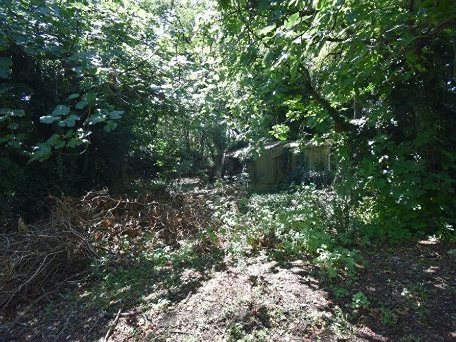 Immagine 7 di Terreno agricolo in vendita  in vicinale mazzafame a Legnano