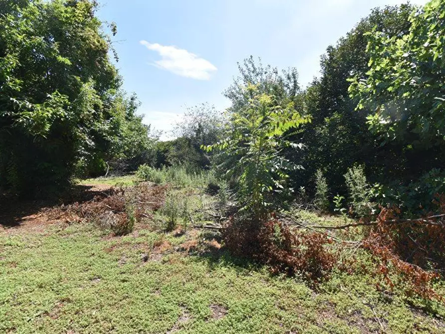 Immagine 8 di Terreno agricolo in vendita  in vicinale mazzafame a Legnano