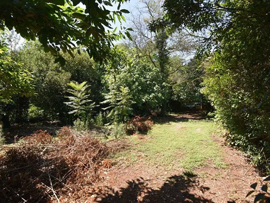 Immagine 10 di Terreno agricolo in vendita  in vicinale mazzafame a Legnano