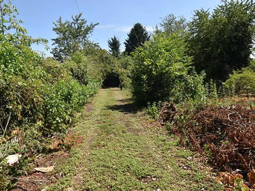 Immagine 11 di Terreno agricolo in vendita  in vicinale mazzafame a Legnano