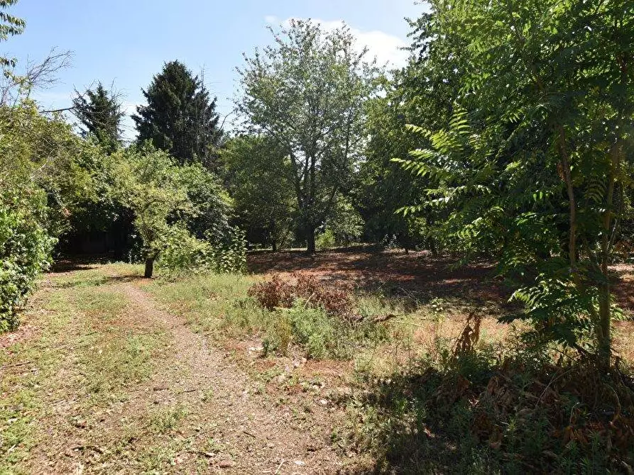 Immagine 12 di Terreno agricolo in vendita  in vicinale mazzafame a Legnano