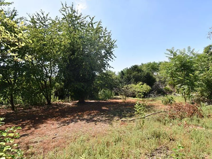 Immagine 13 di Terreno agricolo in vendita  in vicinale mazzafame a Legnano