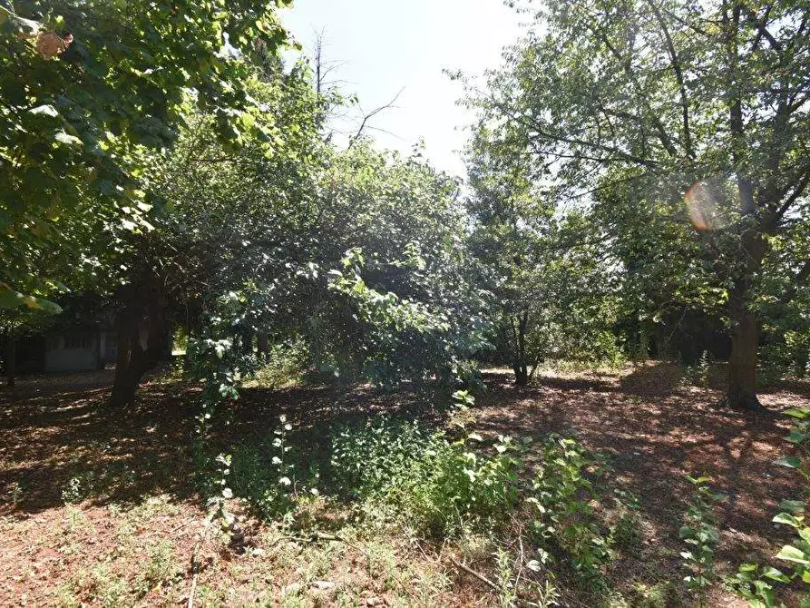 Immagine 14 di Terreno agricolo in vendita  in vicinale mazzafame a Legnano