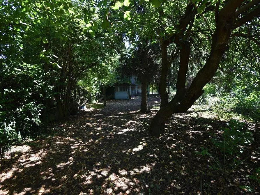 Immagine 15 di Terreno agricolo in vendita  in vicinale mazzafame a Legnano