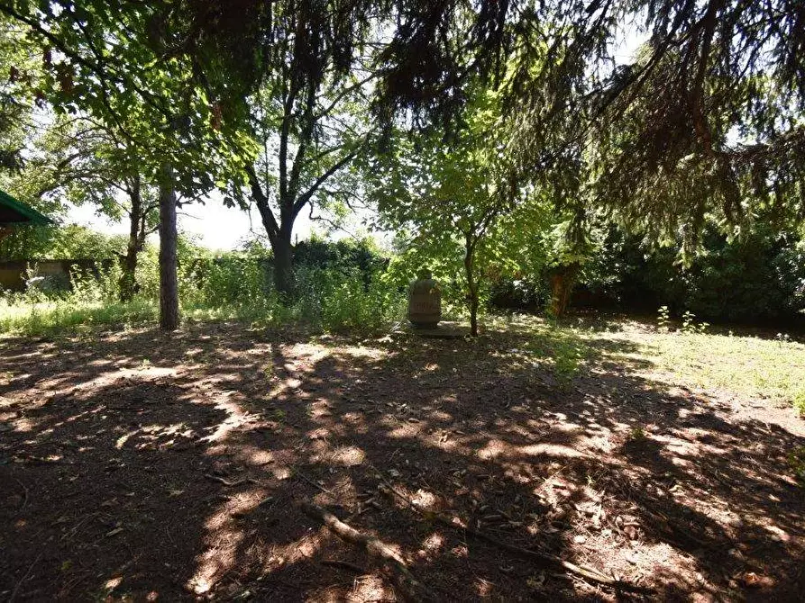 Immagine 17 di Terreno agricolo in vendita  in vicinale mazzafame a Legnano