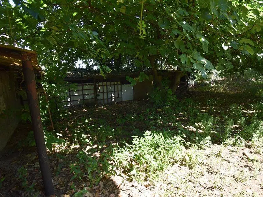 Immagine 19 di Terreno agricolo in vendita  in vicinale mazzafame a Legnano