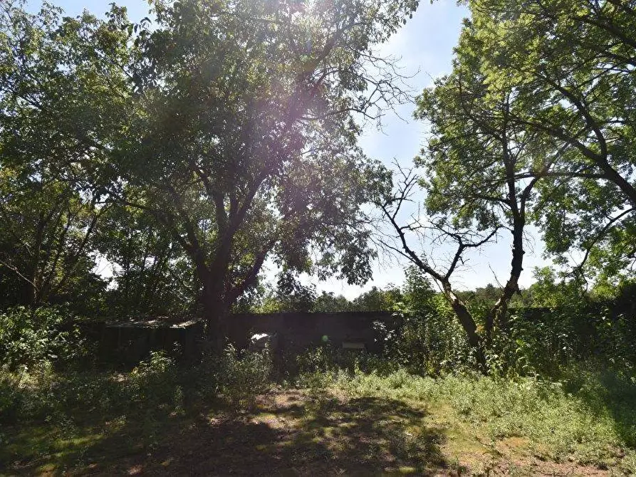 Immagine 21 di Terreno agricolo in vendita  in vicinale mazzafame a Legnano