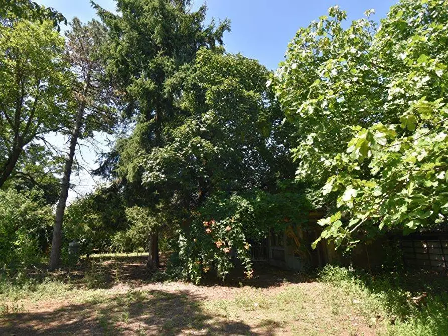 Immagine 23 di Terreno agricolo in vendita  in vicinale mazzafame a Legnano