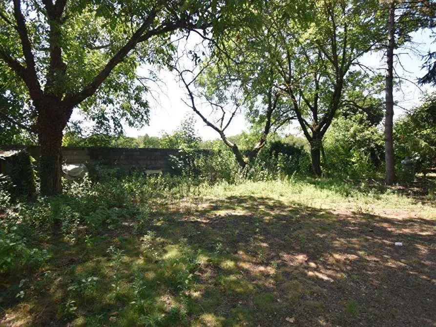 Immagine 24 di Terreno agricolo in vendita  in vicinale mazzafame a Legnano