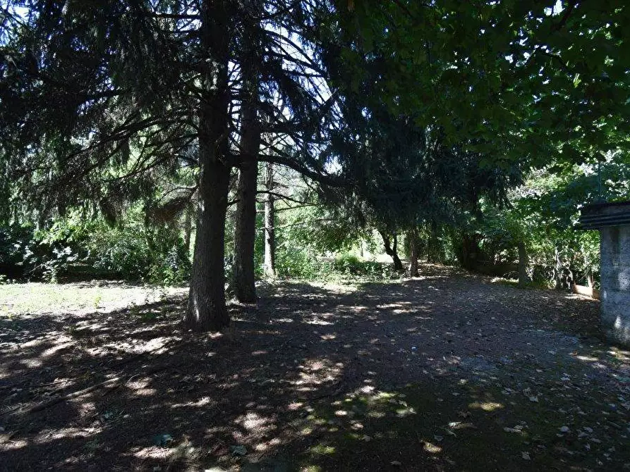 Immagine 27 di Terreno agricolo in vendita  in vicinale mazzafame a Legnano