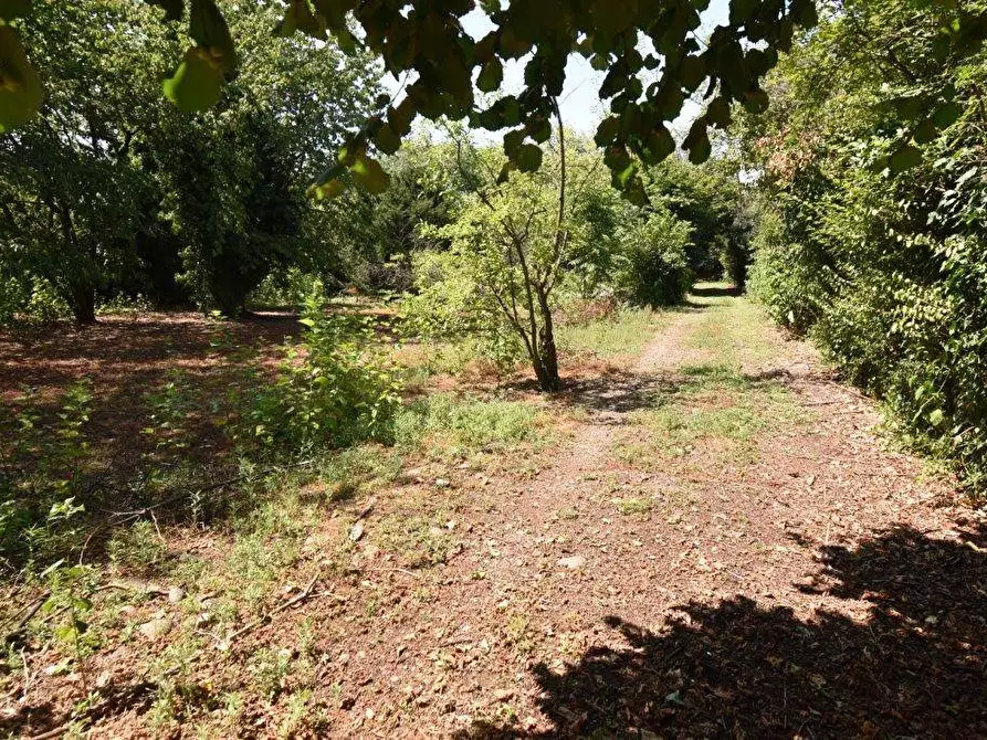Immagine 36 di Terreno agricolo in vendita  in vicinale mazzafame a Legnano
