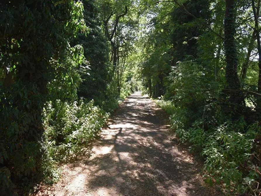 Immagine 37 di Terreno agricolo in vendita  in vicinale mazzafame a Legnano