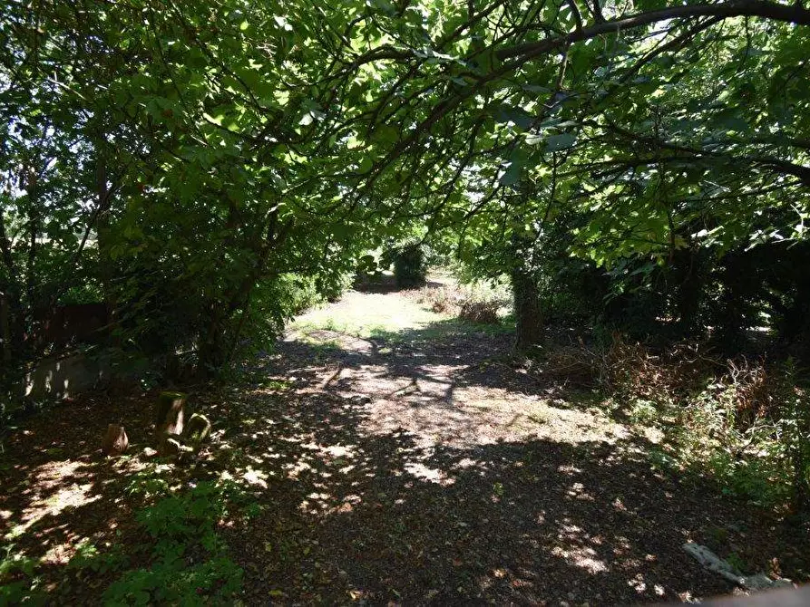 Immagine 38 di Terreno agricolo in vendita  in vicinale mazzafame a Legnano