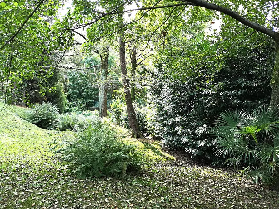 Immagine 17 di Appartamento in vendita  in via BRUGHIERA 22 a Leggiuno