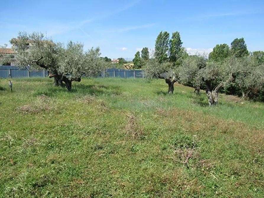 Immagine 1 di Terreno residenziale in vendita  a Spoltore