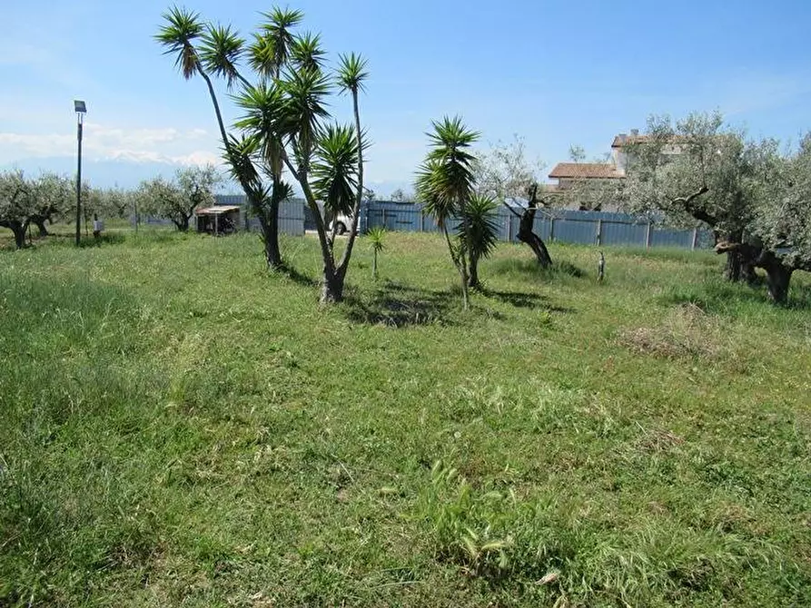 Immagine 2 di Terreno residenziale in vendita  a Spoltore