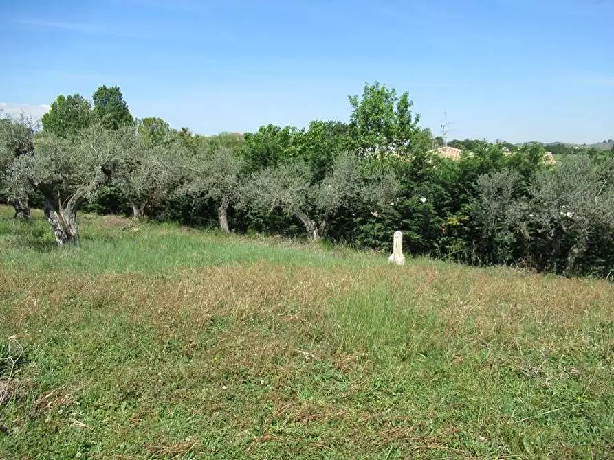 Immagine 3 di Terreno residenziale in vendita  a Spoltore