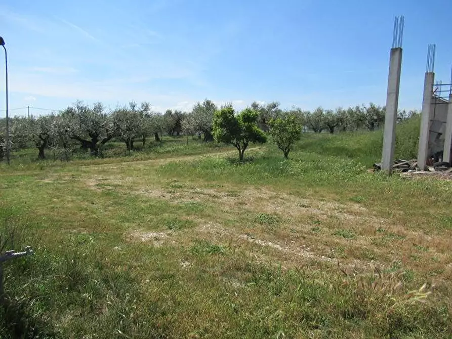Immagine 9 di Terreno residenziale in vendita  a Spoltore