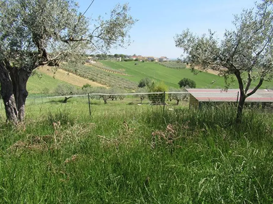 Immagine 12 di Terreno residenziale in vendita  a Spoltore