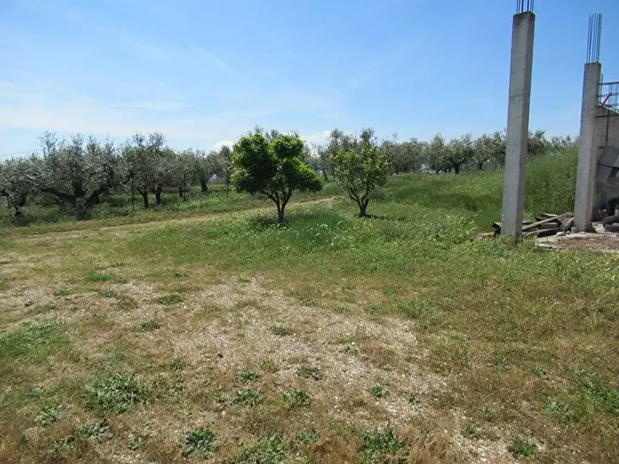 Immagine 13 di Terreno residenziale in vendita  a Spoltore