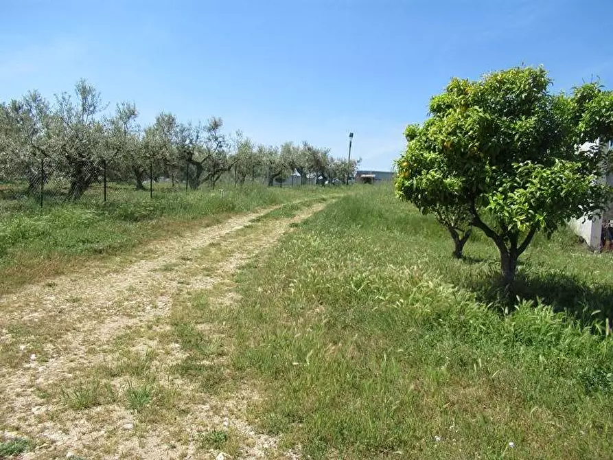 Immagine 14 di Terreno residenziale in vendita  a Spoltore