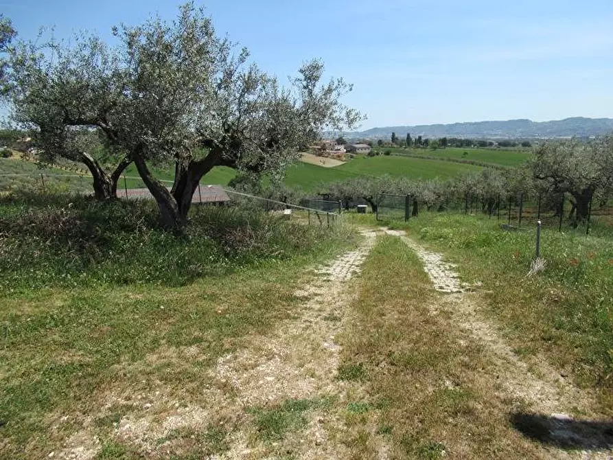 Immagine 15 di Terreno residenziale in vendita  a Spoltore