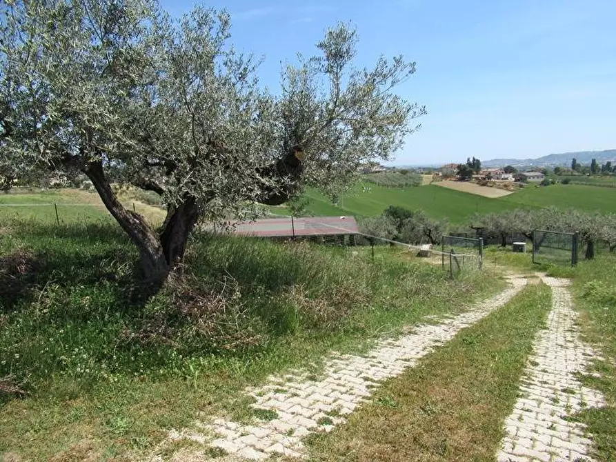 Immagine 16 di Terreno residenziale in vendita  a Spoltore