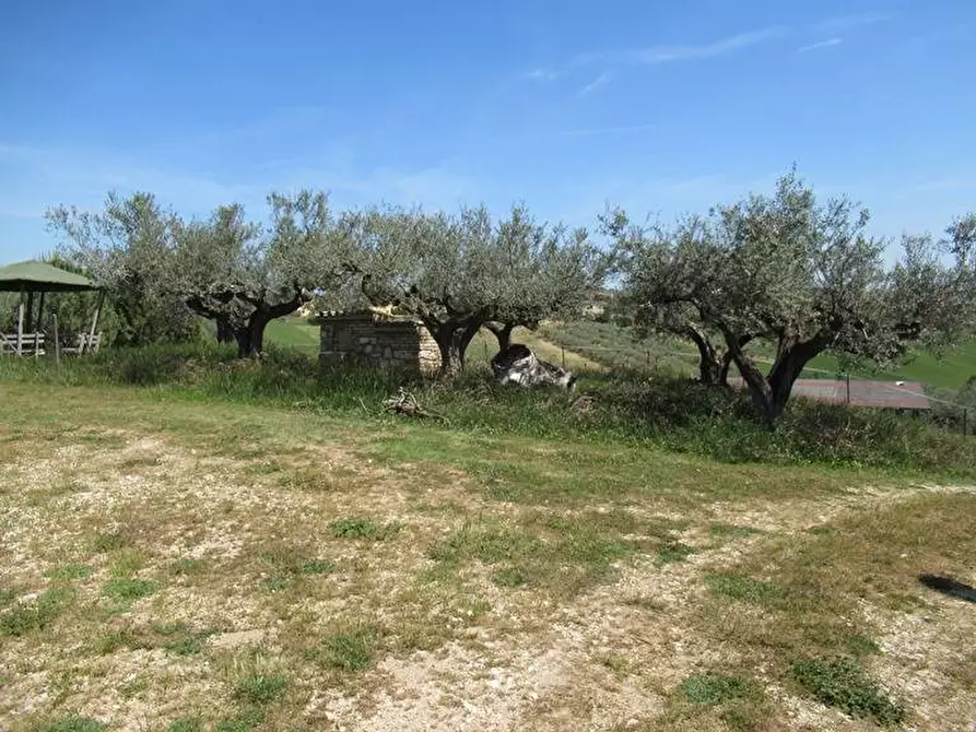 Immagine 19 di Terreno residenziale in vendita  a Spoltore