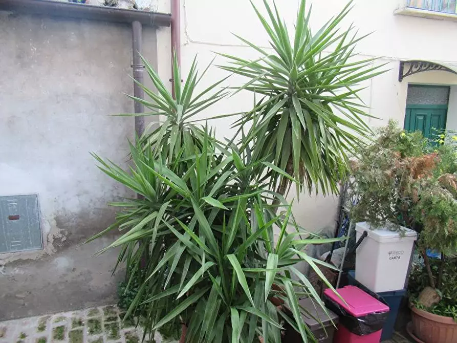 Immagine 7 di Casa semindipendente in vendita  in Via Lago Dei Greci 2/4 a Brittoli