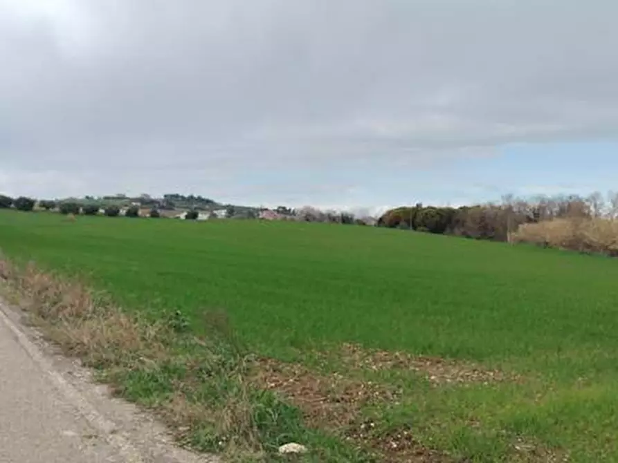 Immagine 1 di Locale commerciale in vendita  in strada statale 602 a Spoltore