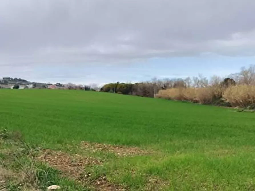 Immagine 3 di Locale commerciale in vendita  in strada statale 602 a Spoltore