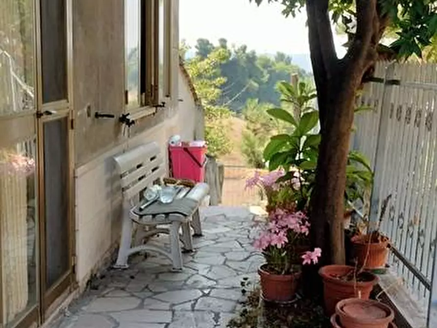 Immagine 4 di Casa indipendente in vendita  in via del convento 5 a Brittoli