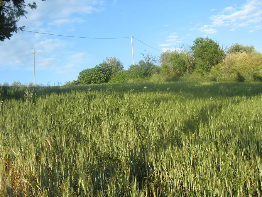 terreno in vendita a Brittoli