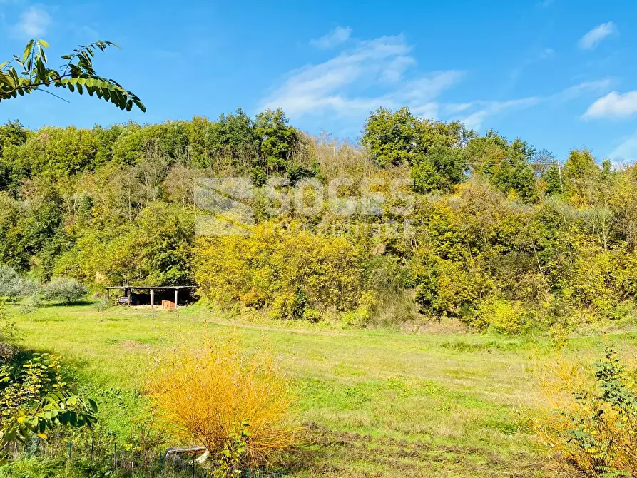 Immagine 1 di Terreno agricolo in vendita  in via di nannicione a Figline Valdarno