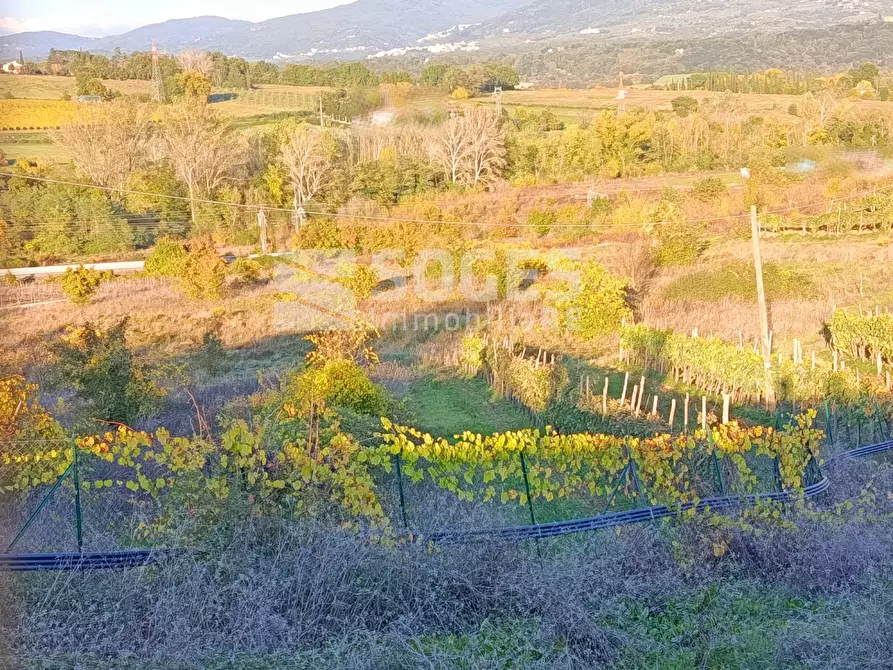 terreno agricolo a Figline e Incisa Valdarno in zona Incisa in Val d'Arno