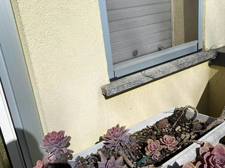 Immagine 15 di Appartamento in affitto  in via IV novembre 11 a Osio Sotto