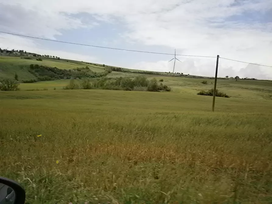 Immagine 3 di Terreno agricolo in vendita  in Contrada Mottola a Baselice