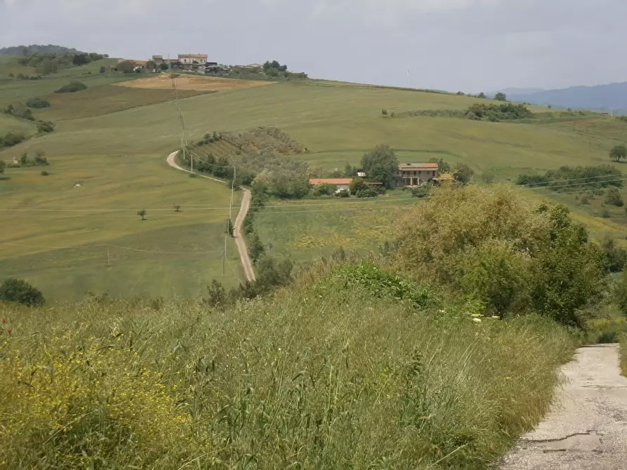Immagine 4 di Terreno agricolo in vendita  in Contrada Mottola a Baselice