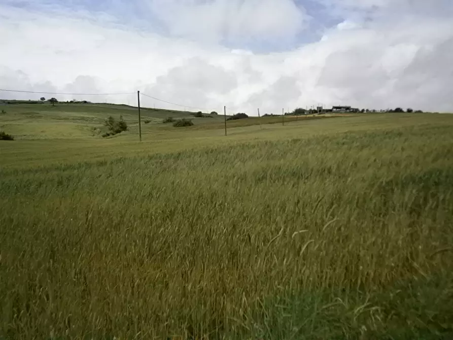 Immagine 5 di Terreno agricolo in vendita  in Contrada Mottola a Baselice