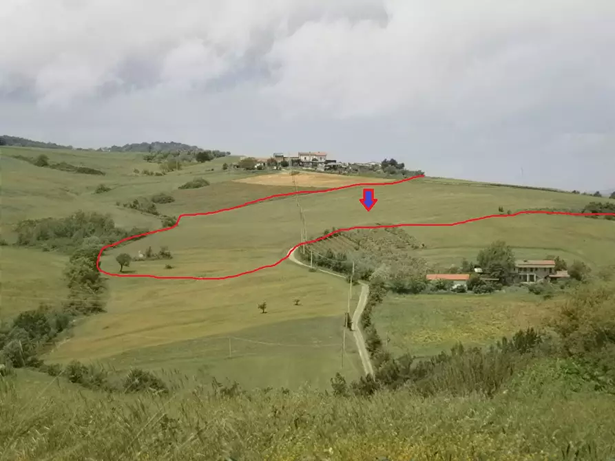 Immagine 2 di Terreno agricolo in vendita  in Contrada Mottola a Baselice